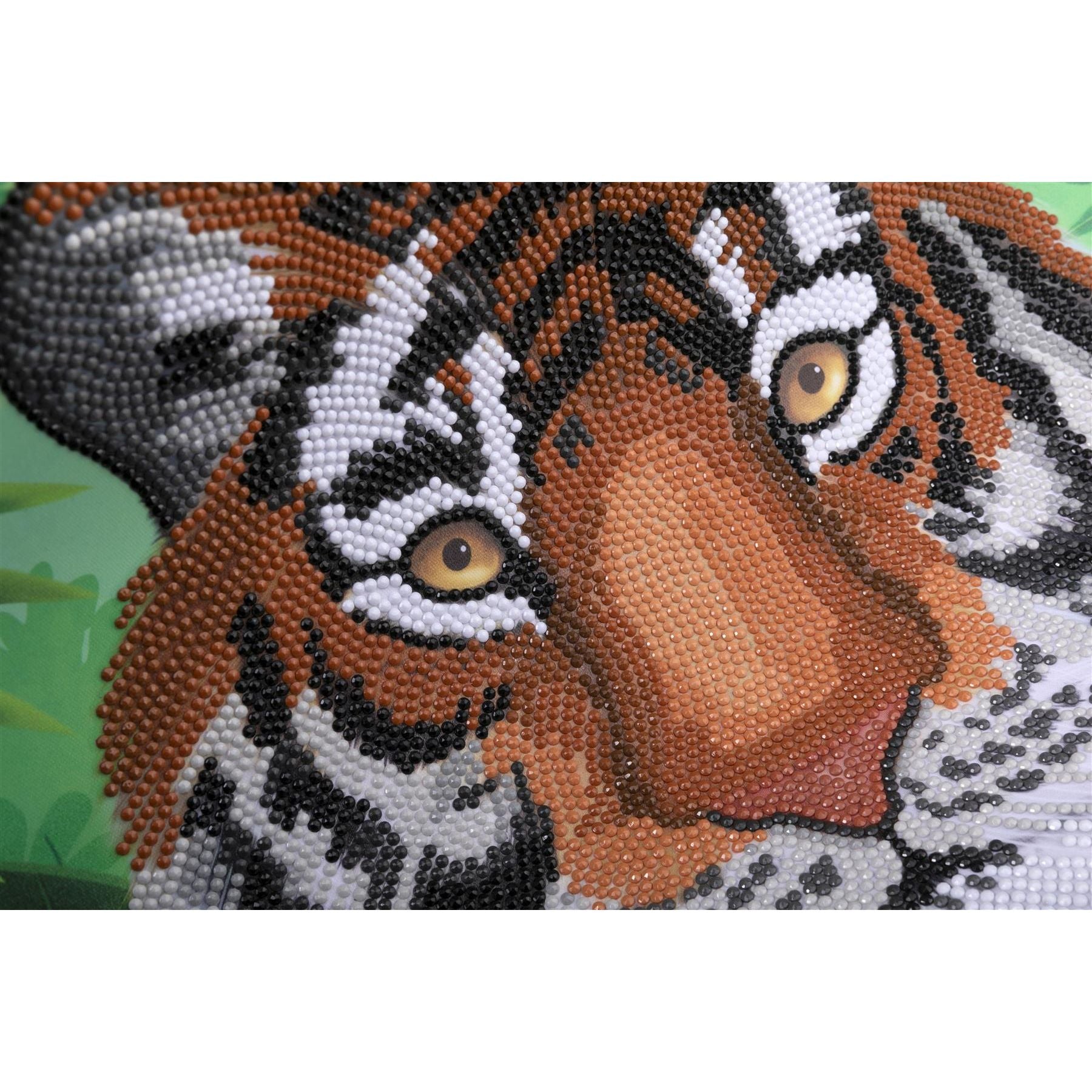 Regal Tiger 35x45cm Crystal Art Scroll