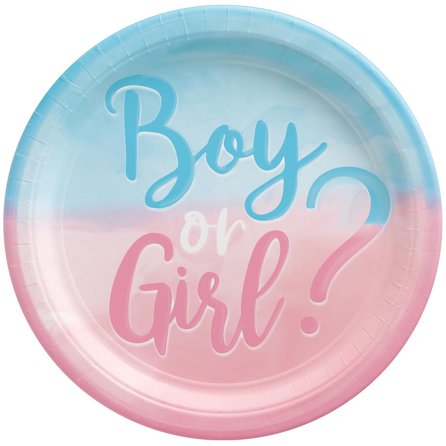 The Big Reveal! Baby Shower and Gender Reveal Complete Party in a Box