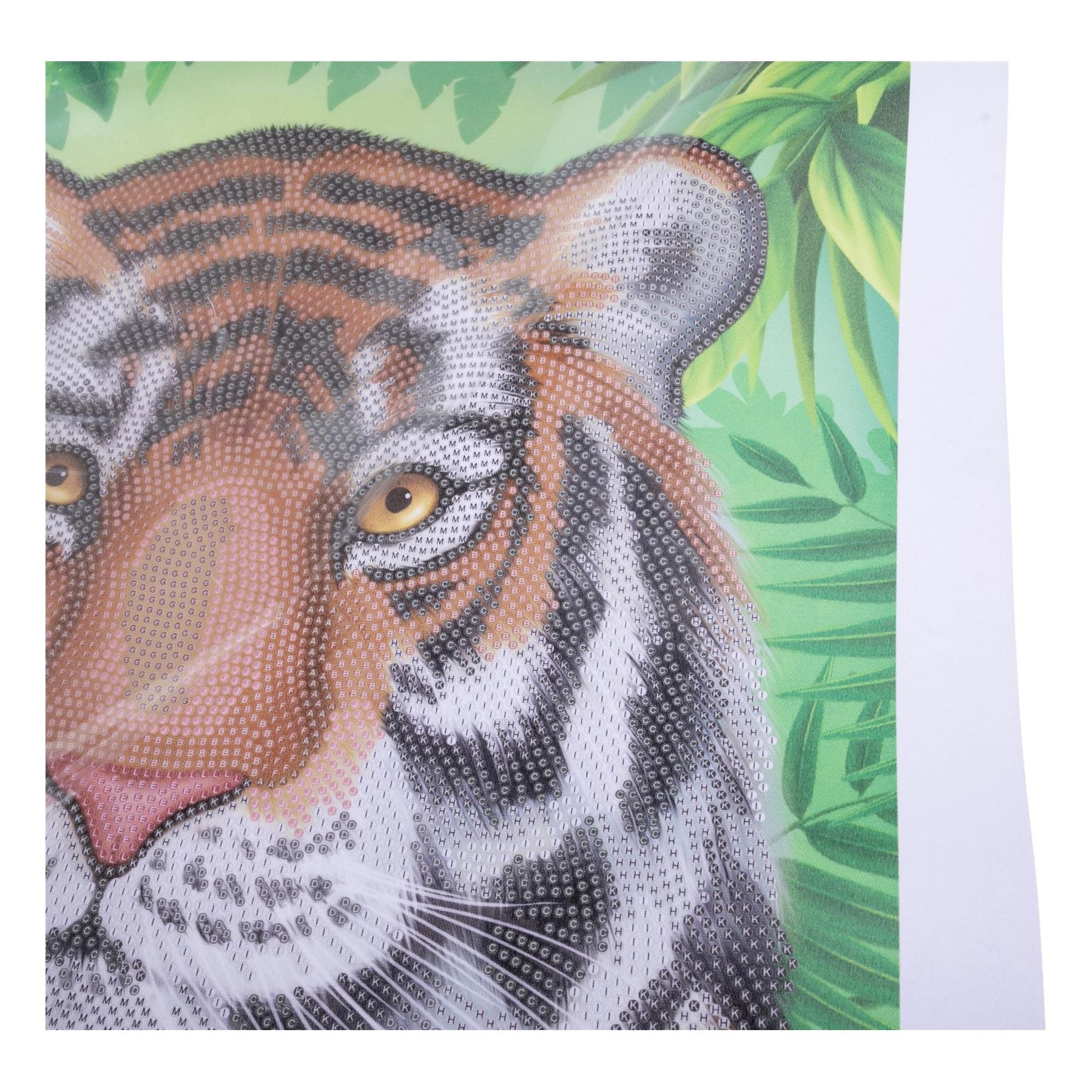 Regal Tiger 35x45cm Crystal Art Scroll